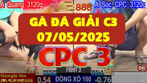 Khám Phá Thế Giới Cá Cược Trực Tuyến Từ Https//ae888.uk.com/ - Nơi Bạn Có Những Trải Nghiệm Độc Đáo